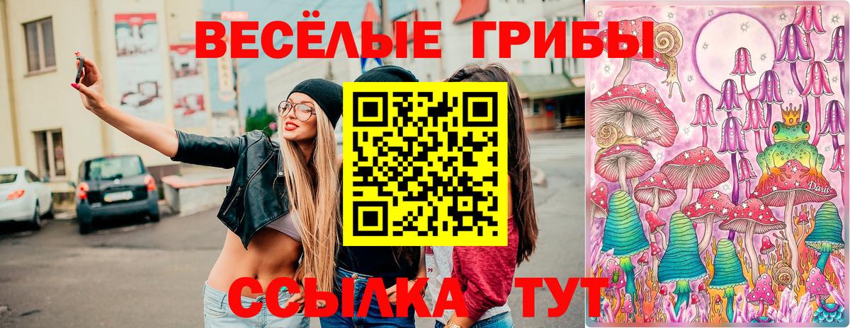 Выкса  Псилоцибиновые грибы Magic Shrooms  Вход с VPN  Галлюциногенные грибы мицелий 